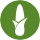 Corn crop icon